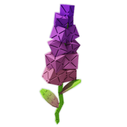 Sugar Snapdragon
