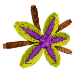 Suncrest Orchid