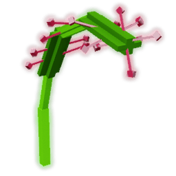 Sundew