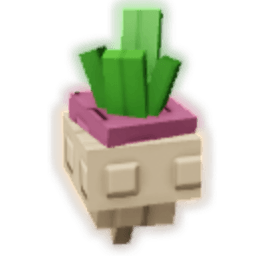 Turnip