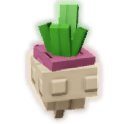 Turnip