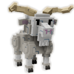 Angora Goat