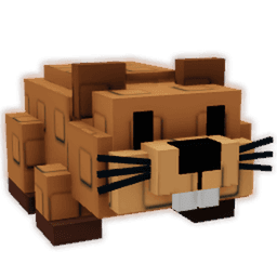 Beaver