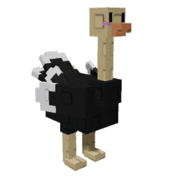 Ostrich