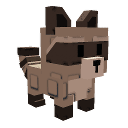 Raccoon