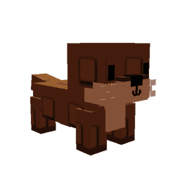 Sea Otter