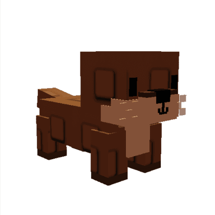 Sea Otter