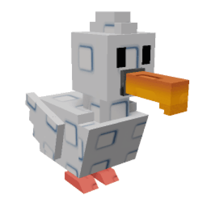 Seagull