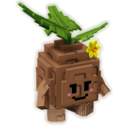 Seedling
