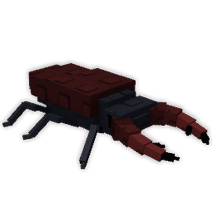 Stag Beetle