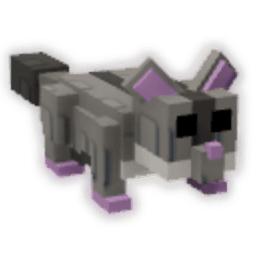 Sugar Glider