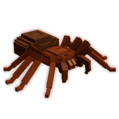 Trapdoor Spider