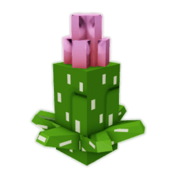 Blooming Cactus Seed