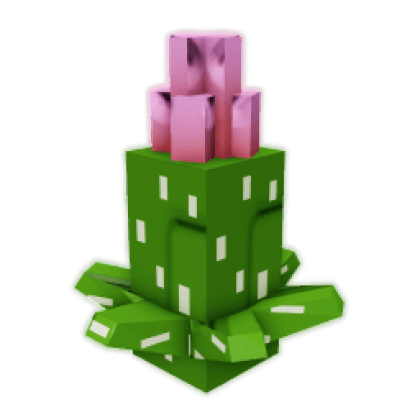 Blooming Cactus Seed