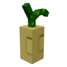 Crown Melon Seed