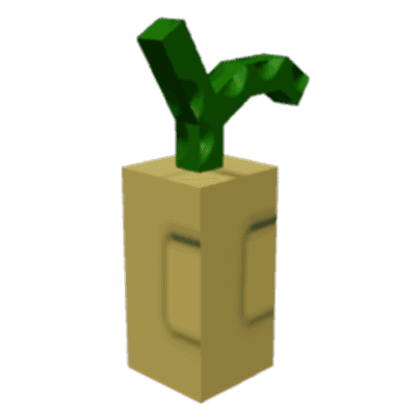 Crown Melon Seed