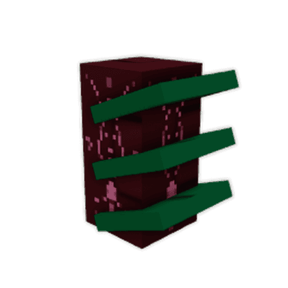 Cyclamen Seed