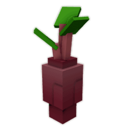 Evo Beetroot III Seed
