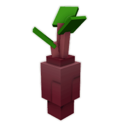 Evo Beetroot III Seed
