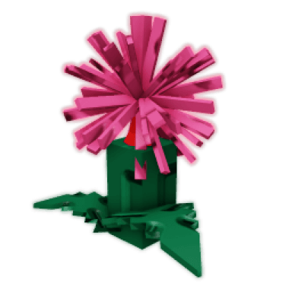 Firework Fern Seed