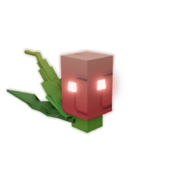 Flare Melon Seed