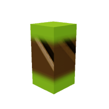 Kiwi Seed