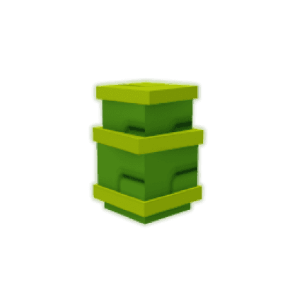 Lucky Bamboo Seed