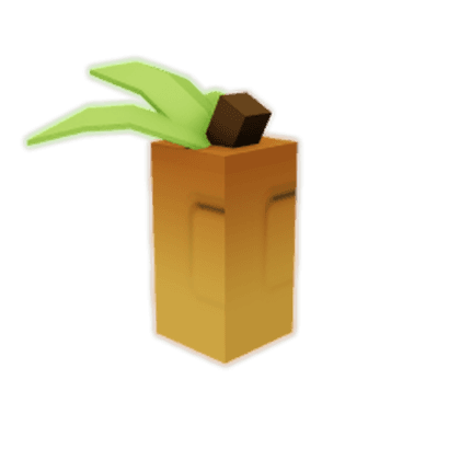 Persimmon