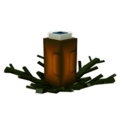 Seer Vine Seed