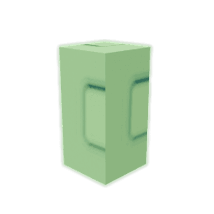 Spring Onion Seed