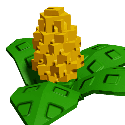Corn
