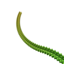 Romanesco