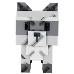 Raccoon
