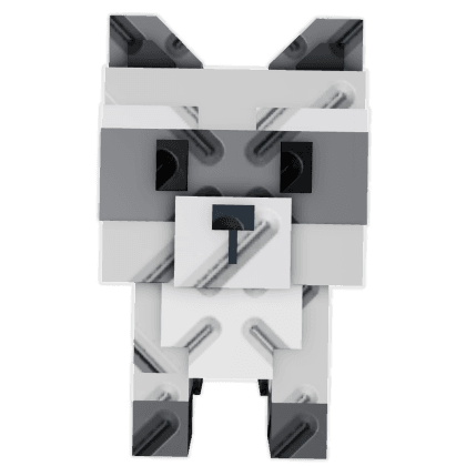 Raccoon