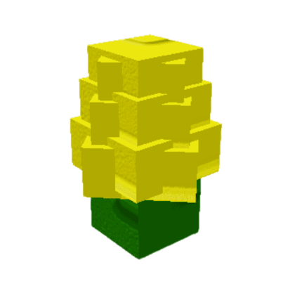 Corn Seed
