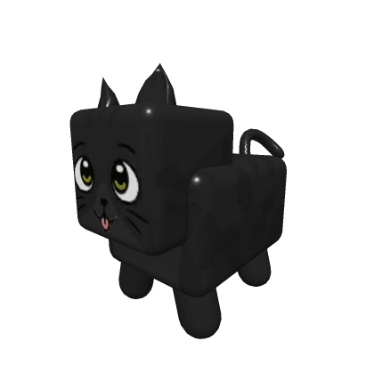 Black Cat 2019