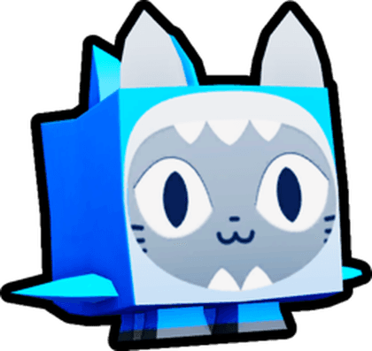 Shark Cat