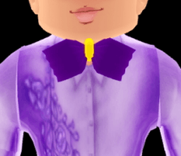 Celebration Bow Tie