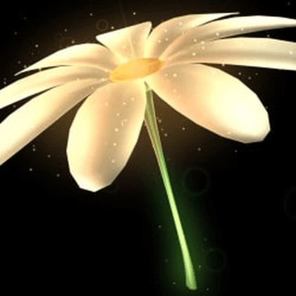 Flower Parasol
