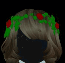 Lizzy's Crown of Roses