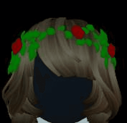 Lizzy's Crown of Roses