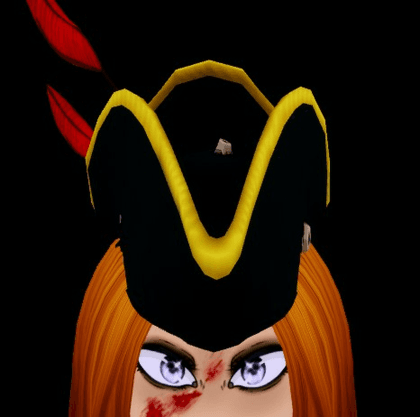 Pirate Hat