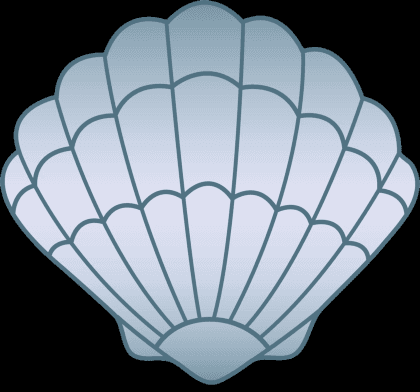 Seashells Top
