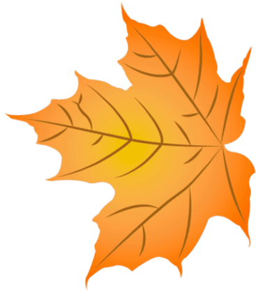 Autumn Fairy