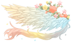 Floral Feathers