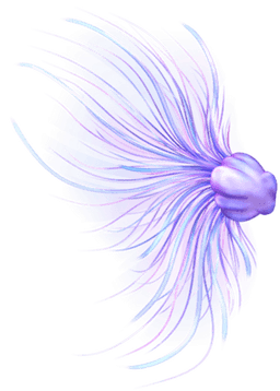 Jellyfish Princess