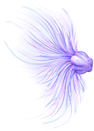 Jellyfish Princess
