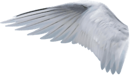 Snow Owl