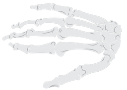 Undertaker's Hands