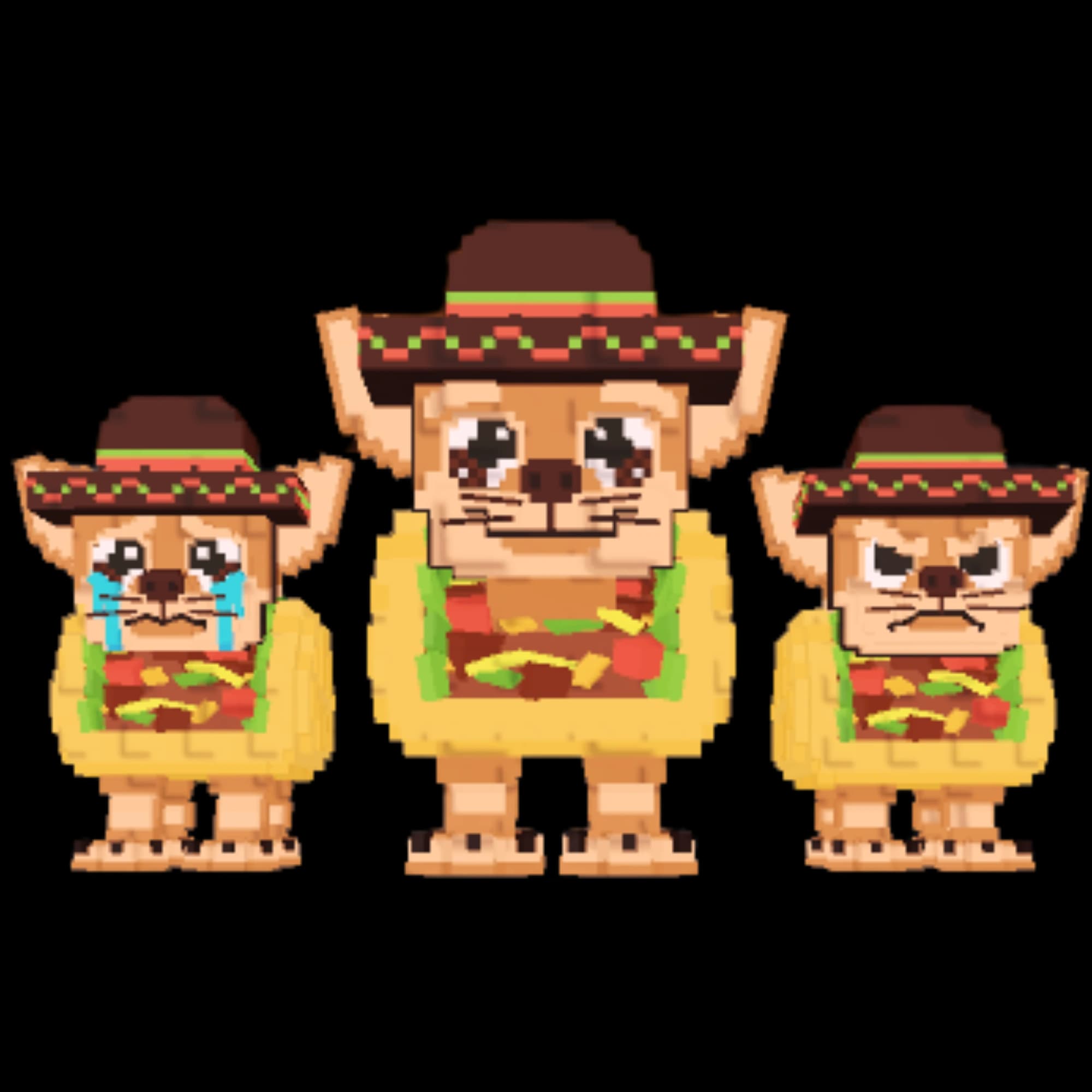 Los Chihuaninis